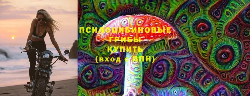 Галлюциногенные грибы Psilocybe  купить наркоту  Беслан 